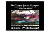 Triune Brain, Hypnosis and the Evolution of Consciousness, The - Adam Weishaupt