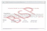 Oracle OLAP Installation