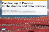 Positioning of Process Orchestration and Data Services