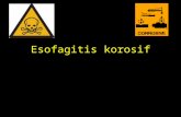 Esofagitis Korosif Final