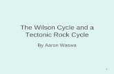 Plate Tectonic and Wislon Cycle2