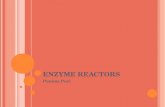 Enzyme Reactors