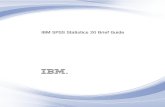 SPSS User Guide