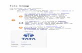 Tata Group.docx