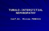 9 Nefropatii Tubulo Interstitiale Engl