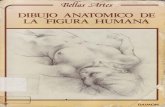 34388755 Anatomia Artistica Dibujo Anatomico de La Figura Humana