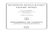 Business Reg Framework