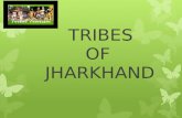 Tribes of jharkhand
