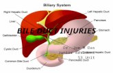 Bile duct injuries