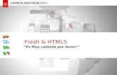 Adobe, Flash and HTML5