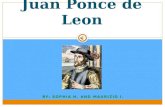 Juan ponce de lion maurizio,sophia real