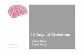 Case Study - Curvy Kate 12 Days of Christmas