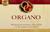 Organo Gold Business Opportunity Presentation