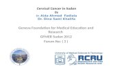 Cervical Cancer in Sudan