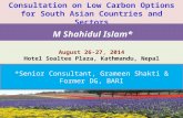 Consultation on Low Carbon Options for South Asian Countries and Sectors