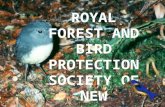 The Royal Forest & Bird Society of New Zealand