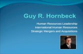 Overview   Guy Hornbeck