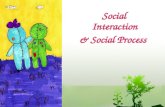 Social interaction and social... process
