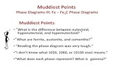 MSEASUSlides:  Muddiest Point: Phase Diagrams III Fe-Fe3C Phase Diagram Introduction Slide Set