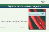 NOB Specialisatie Digtale Onderwaterfotografie
