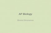 AP Biology Biome Dioramas