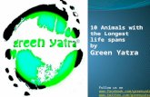 Animals with the Longest life spans by Green Yatra