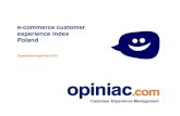 e-commerce customer experience index for 2013