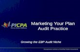 Marketing Your Plan Audit Practice