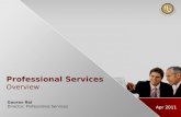 Hyperquality India Pvt Ltd-Professional services offerings