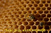 Horizontal Scaling with HiveDB Presentation