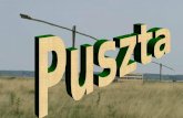 Puszta - The Hungarian Plain