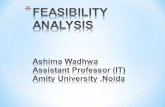 Feasibility anaylsis