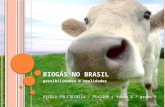 Biogás No Brasil