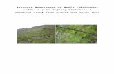 Assessment of Amala (Phyllanthus emblica) in Bajhang District, Nepal
