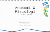 Power Point   Anatomi & Fisiologi (Sistem Saraf)