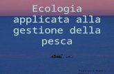 Ecologia Applicata Alla Gestione Della Pesca