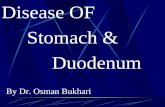 Stomach & Doudenum Disease