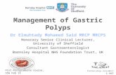 Management of gastric polyps