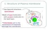 Membranes and osmosis