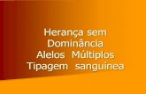 Tipagem Sanguinea E Alelos MúLtiplos 22032010