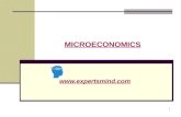 Indifference curve | Microeconomics | Expertsmind.com