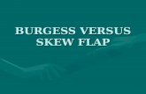 Burgess versus skew_flap