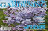 Garden Profile: Nichols Arboretum Peony Garden