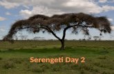 Serengeti Day 2