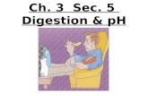 7th Grade Ch. 3 Sec. 5 Digestion & pH