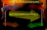 Microorganisms Form 4 KBSM