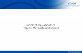 SM7 Incident Management-Tables,Metadata,Objects