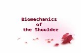 Bio Mechanics of the Shoulder