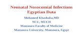 Nosocomial Infections in Egypt
