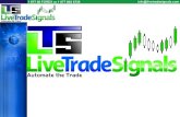 Forex Trader Education at LiveTradeSignals